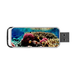 Coral Reefs 1 Portable Usb Flash (two Sides)