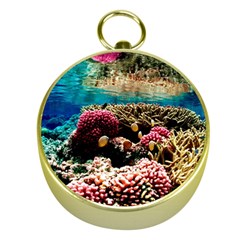 Coral Reefs 1 Gold Compasses