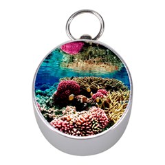 Coral Reefs 1 Mini Silver Compasses