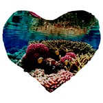 CORAL REEFS 1 Large 19  Premium Flano Heart Shape Cushions Back