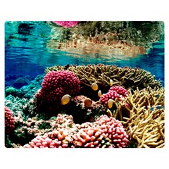 Coral Reefs 1 Double Sided Flano Blanket (medium) 