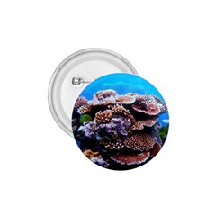 Coral Outcrop 2 1 75  Buttons by trendistuff