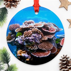 Coral Outcrop 2 Ornament (round)  by trendistuff