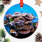 CORAL OUTCROP 2 Ornament (Round)  Front