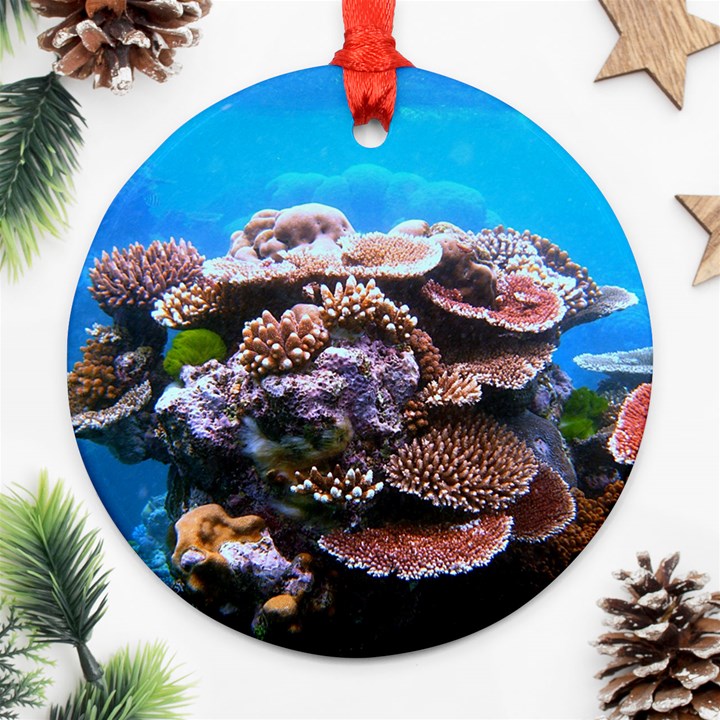 CORAL OUTCROP 2 Ornament (Round) 