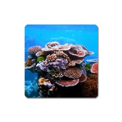 Coral Outcrop 2 Square Magnet by trendistuff