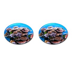 Coral Outcrop 2 Cufflinks (oval) by trendistuff