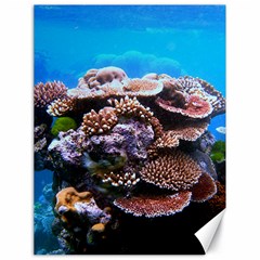 Coral Outcrop 2 Canvas 18  X 24   by trendistuff