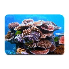 Coral Outcrop 2 Plate Mats