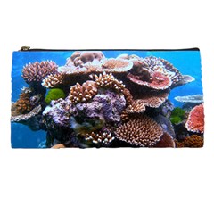 Coral Outcrop 2 Pencil Cases by trendistuff