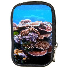 Coral Outcrop 2 Compact Camera Cases