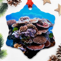 Coral Outcrop 2 Snowflake Ornament (2-side)