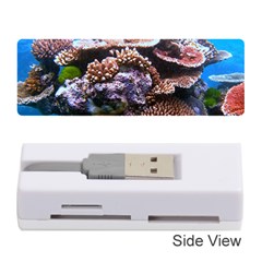 Coral Outcrop 2 Memory Card Reader (stick) 