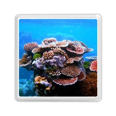 Coral Outcrop 2 Memory Card Reader (square) 