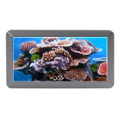 Coral Outcrop 2 Memory Card Reader (mini)