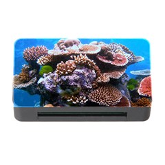 Coral Outcrop 2 Memory Card Reader With Cf