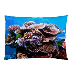 Coral Outcrop 2 Pillow Cases (two Sides)