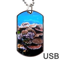 Coral Outcrop 2 Dog Tag Usb Flash (one Side)