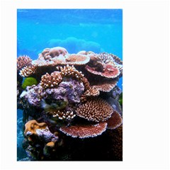 Coral Outcrop 2 Small Garden Flag (two Sides) by trendistuff