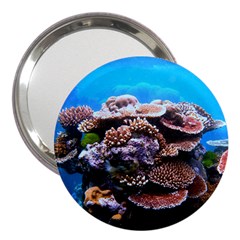 Coral Outcrop 2 3  Handbag Mirrors by trendistuff