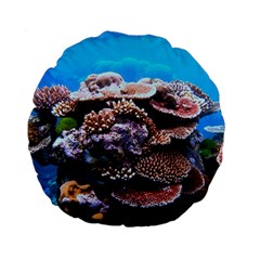 Coral Outcrop 2 Standard 15  Premium Round Cushions by trendistuff