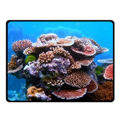 Coral Outcrop 2 Double Sided Fleece Blanket (small) 