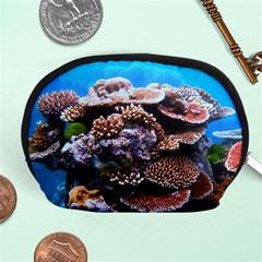 Coral Outcrop 2 Accessory Pouches (medium) 