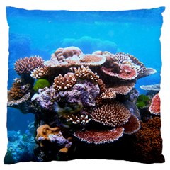 Coral Outcrop 2 Large Flano Cushion Cases (one Side) 