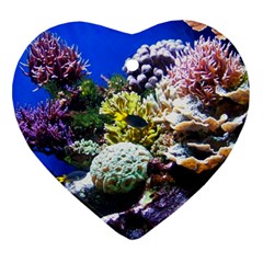 CORAL OUTCROP 1 Ornament (Heart) 