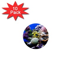 CORAL OUTCROP 1 1  Mini Magnet (10 pack) 