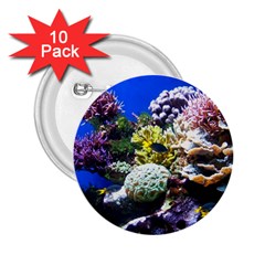 CORAL OUTCROP 1 2.25  Buttons (10 pack) 