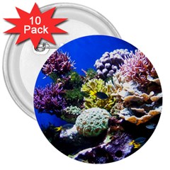 CORAL OUTCROP 1 3  Buttons (10 pack) 