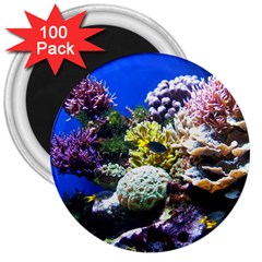 CORAL OUTCROP 1 3  Magnets (100 pack)