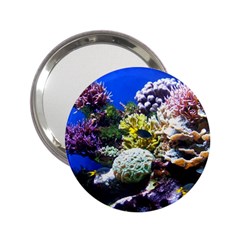 CORAL OUTCROP 1 2.25  Handbag Mirrors