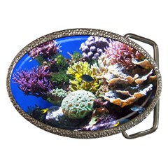 CORAL OUTCROP 1 Belt Buckles