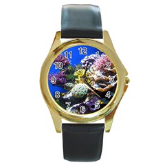 CORAL OUTCROP 1 Round Gold Metal Watches