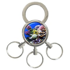 CORAL OUTCROP 1 3-Ring Key Chains