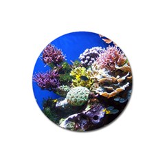 CORAL OUTCROP 1 Magnet 3  (Round)