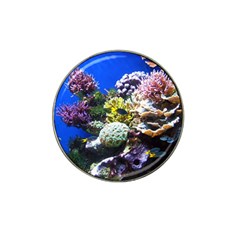 CORAL OUTCROP 1 Hat Clip Ball Marker (4 pack)