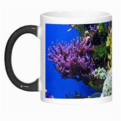 CORAL OUTCROP 1 Morph Mugs