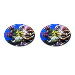 CORAL OUTCROP 1 Cufflinks (Oval)