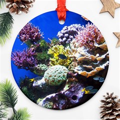 CORAL OUTCROP 1 Round Ornament (Two Sides) 