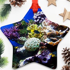 CORAL OUTCROP 1 Star Ornament (Two Sides) 