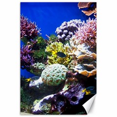 CORAL OUTCROP 1 Canvas 20  x 30  