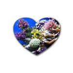 CORAL OUTCROP 1 Rubber Coaster (Heart)  Front