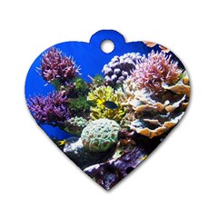 CORAL OUTCROP 1 Dog Tag Heart (Two Sides)