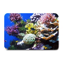 CORAL OUTCROP 1 Plate Mats