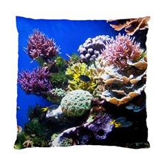 CORAL OUTCROP 1 Standard Cushion Case (One Side) 