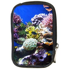 Coral Outcrop 1 Compact Camera Cases