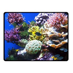 CORAL OUTCROP 1 Fleece Blanket (Small)